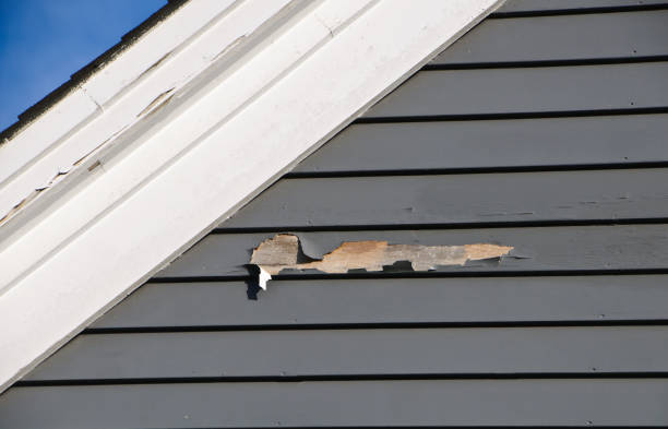 Best Shed Removal  in Concord, NH